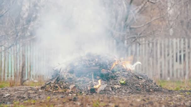 Spalanie śmieci, liście, małych drzewek i chwasty w ogrodzie na własnej działce. Zwolnionym tempie — Wideo stockowe