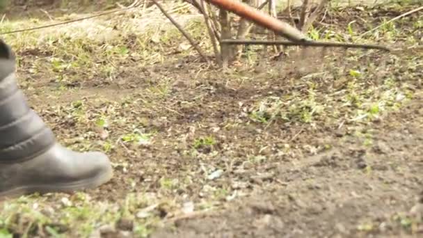 Nő a gyomok a kertben Rake eszközzel takarítás. Lassú mozgás — Stock videók