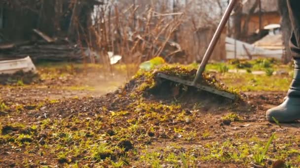 La mujer está limpiando las malas hierbas en el jardín con la herramienta de rastrillo. Moción lenta — Vídeo de stock