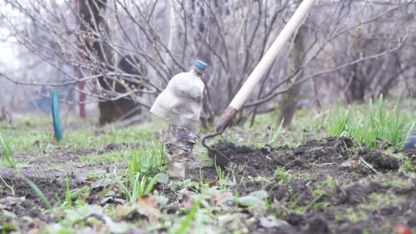 Femme nettoie les mauvaises herbes dans le jardin avec un hélico. Mouvement lent — Video