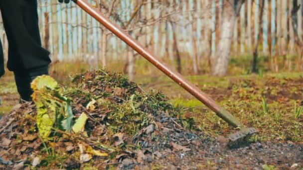 여자는 갈 퀴 도구 정원에서 잡 초를 청소 하 고. 슬로우 모션 — 비디오