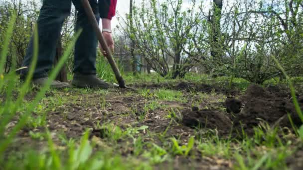 El joven jardinero cava el suelo con una pala en el jardín. Tiempo de caducidad — Vídeo de stock