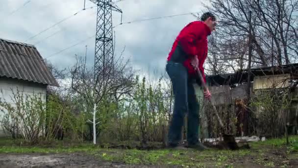 Młody mężczyzna ogrodnik Digs ziemi z łopatą w ogrodzie. Upływ czasu — Wideo stockowe