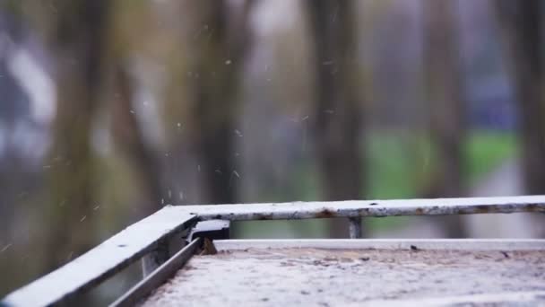 Капли дождя на подоконнике в медленном движении — стоковое видео