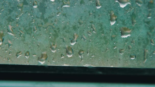 Gotas de lluvia en la ventana y lluvia detrás de la ventana de plástico — Vídeo de stock