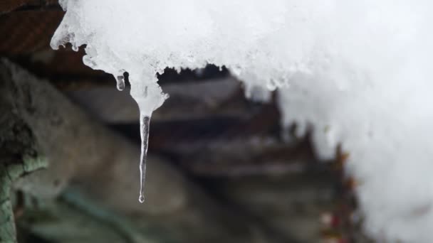 Sneeuw smelt van de daken en de druppels naar beneden in het voorjaar — Stockvideo