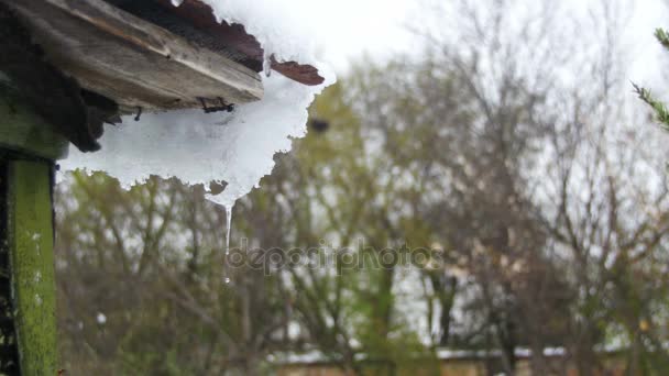 Schnee schmilzt von den Dächern und tropft im Frühling herunter — Stockvideo