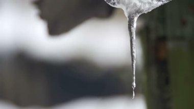 Kar çatılar ve damlar ilkbaharda eriyen. Ağır çekim