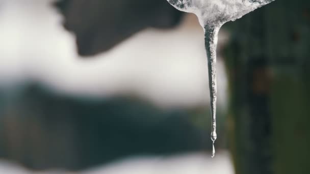 Sneeuw smelt van de daken en de druppels naar beneden in het voorjaar. Slow Motion. — Stockvideo