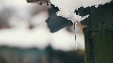 Kar çatılar ve damlar ilkbaharda eriyen. Ağır çekim.