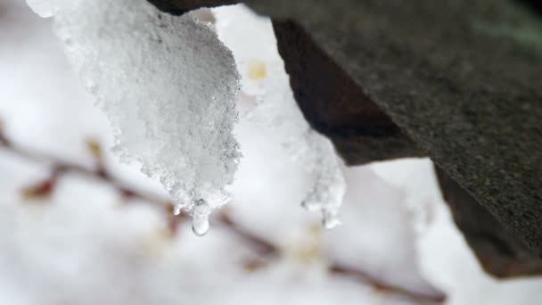 Snow Melts from the Roofs and Drips Down in the Spring — Stock Video