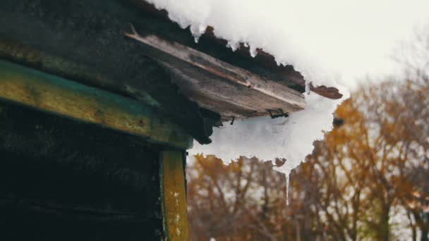 Fonte de neige printanière sur le toit vieille maison — Video