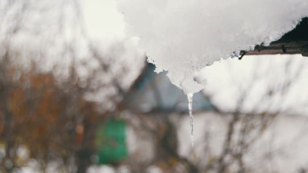 Fonte de neige printanière sur le toit vieille maison — Video