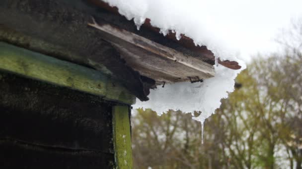 Schnee schmilzt von den Dächern und tropft im Frühling herunter — Stockvideo