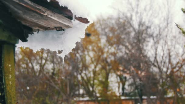 Весенний снег тает на крыше старого дома — стоковое видео