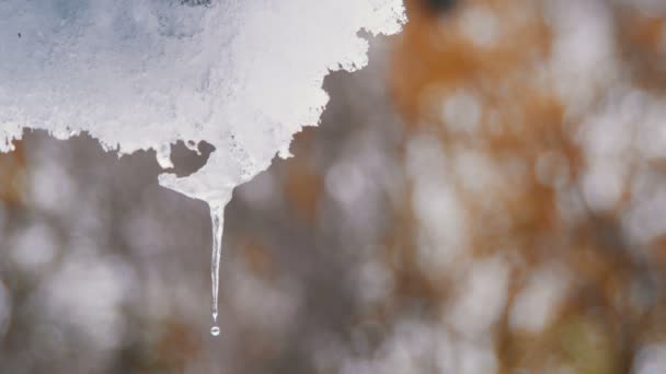 A neve derrete dos telhados e goteja na primavera — Vídeo de Stock