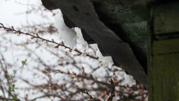 A neve derrete dos telhados e goteja na primavera — Vídeo de Stock