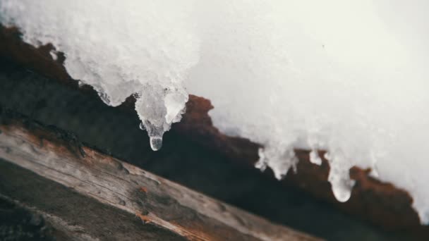 Snow Melts from the Roofs and Drips Down in the Spring. Slow Motion — Stock Video