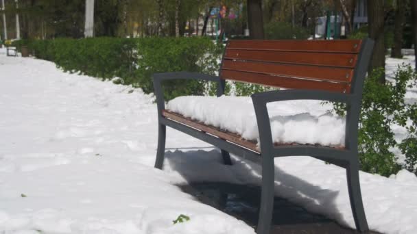 4 月に異常気象。緑の茂みの背景にある公園で雪で覆われたベンチ — ストック動画