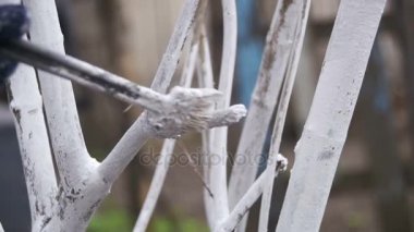 Bahçıvan badana ağaç gövdesi ile Bahçe, ağaç bakım bahar tebeşir. Ağır çekim