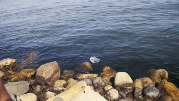 Vuilnis drijvers in de Kaspische Zee in de buurt van de stenen op de dijk van Bakoe — Stockvideo