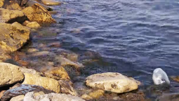 La basura flota en el mar Caspio cerca de las piedras en el banquillo de Bakú — Vídeos de Stock