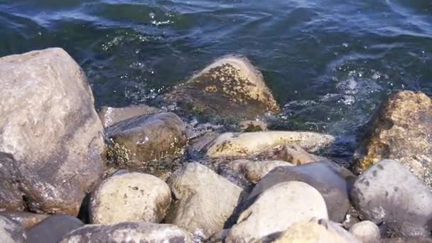 Las olas golpean contra las rocas en el mar en cámara lenta — Vídeos de Stock