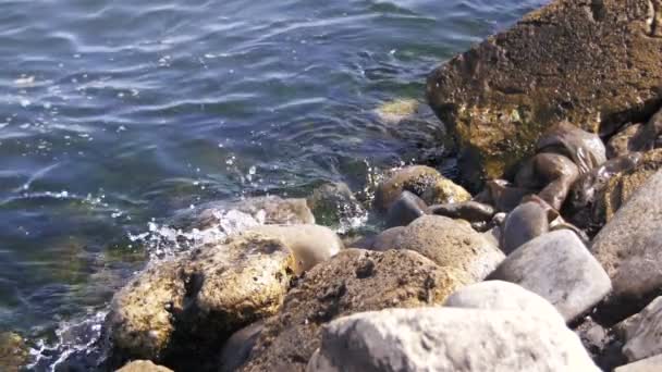 Les vagues se brisent contre les rochers en mer au ralenti — Video