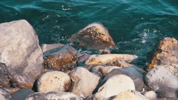 Dalgalar sonu deniz ağır çekimde taşlara karşı — Stok video