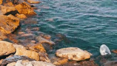 Çöp yüzen söylediklerine Bakı setin yakınındaki Hazar Denizi'nde