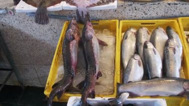 Taze deniz balığı shop