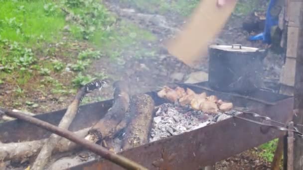 Шиш Кебаб готовится на гриле в лесу — стоковое видео