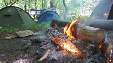 Bir çadır kamp içinde şenlik ateşi Burns ve ormanda günlüğe kaydeder