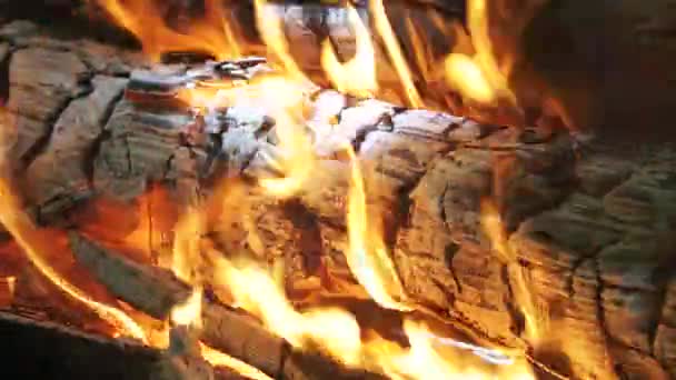 Фон пожара, бревно горит — стоковое видео
