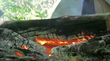Bir çadır kamp içinde şenlik ateşi Burns ve ormanda günlüğe kaydeder