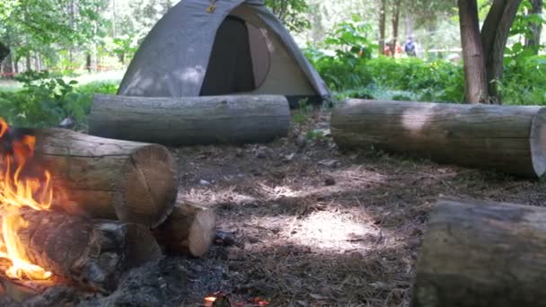 Костёр горит в кемпинге посреди палатки и бревен в лесу — стоковое видео