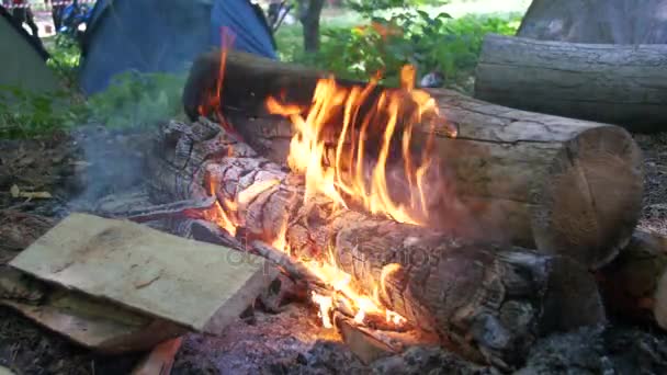 Hoguera se quema en el camping en medio de una tienda de campaña y troncos en el bosque — Vídeos de Stock