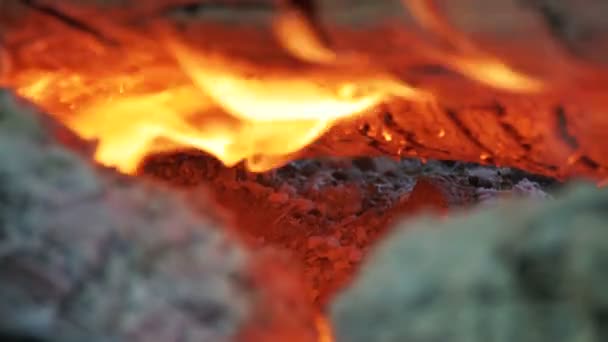 Lagerfeuer der Äste brennt im Wald — Stockvideo