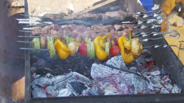 Barbacoa con Deliciosa Carne a la Parrilla y Verduras Cocinadas en la Parrilla — Vídeos de Stock