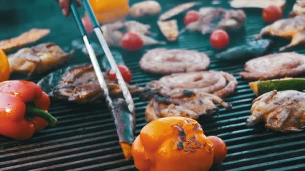 Preparing Meat and Vegetables on the Grill. Slow Motion — Stock Video