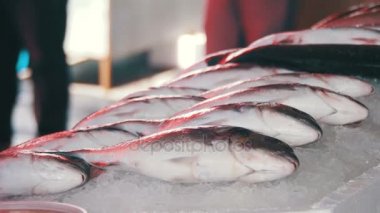 Taze deniz balığı buz Counter piyasada