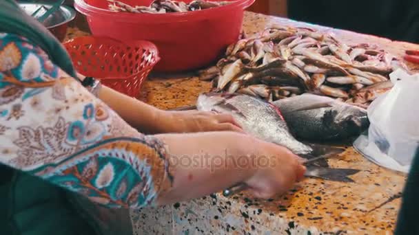 Escala y corte de pescado en el puesto del mercado — Vídeo de stock