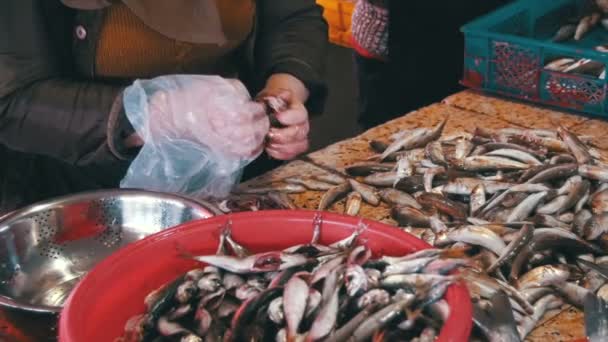 Mujer vendedor de pescado limpia y cortar pescado fresco en el mercado de pescado — Vídeo de stock