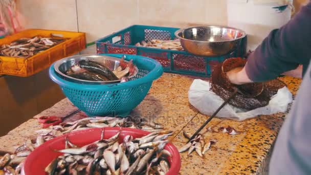 Mujer limpia y corta pescado fresco en el mercado de pescado — Vídeo de stock