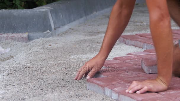 Trabalhador Deitado laje de pavimentação de pedra — Vídeo de Stock