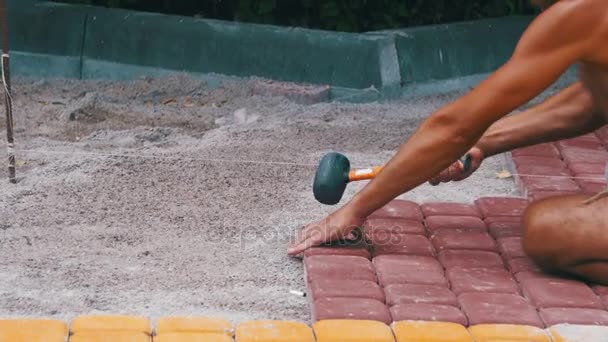 Trabajador colocación piedra pavimentación losa — Vídeos de Stock