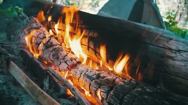 Hoguera quema en el camping en medio de una tienda de campaña y troncos en el bosque. Moción lenta — Vídeo de stock