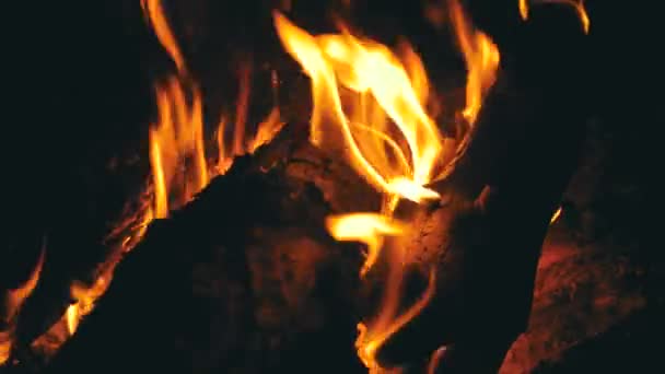 Bonfire Lit вночі в лісі — стокове відео