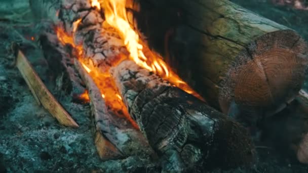 在森林里的树枝烧伤的篝火。多莉的镜头。慢动作 — 图库视频影像