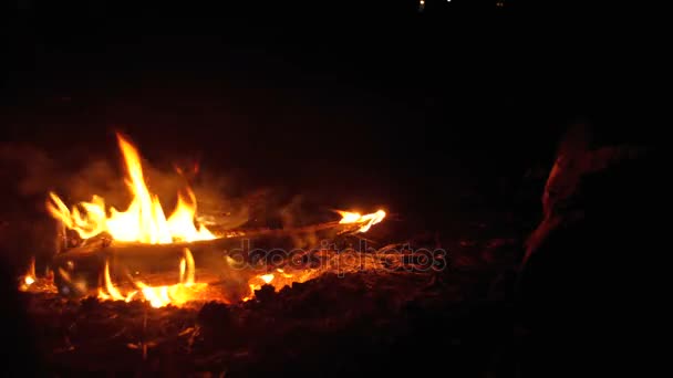 Gece kamp ateşi. — Stok video